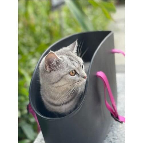 Fashion Cat Carrier Bags Small Travel For Pet 2021