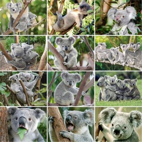 EverShine 5D DIY Diamond Painting Animals Handmade Hobby Diamond Embroidery Koala Rhinestone Picture Mosaic Cross Stitch Kits