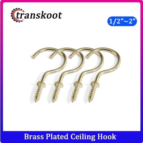 Transkoot Buckles