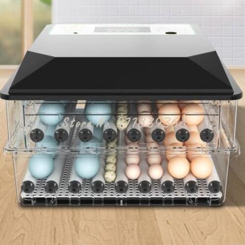 Incubator Automatic Intelligent Small Household Mini Chicken Duck Goose Pigeon Egg Water Bed Incubator
