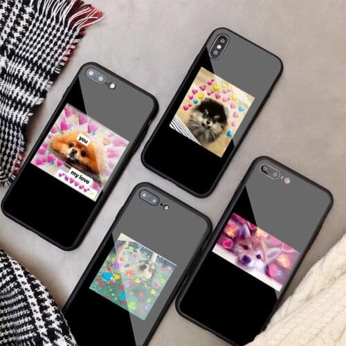 Super cute cat dog cartoo Tempered Glass Case For iphone 11 Pro Max X 10 8 7 6 5 7Plus Cover Protective Fundas