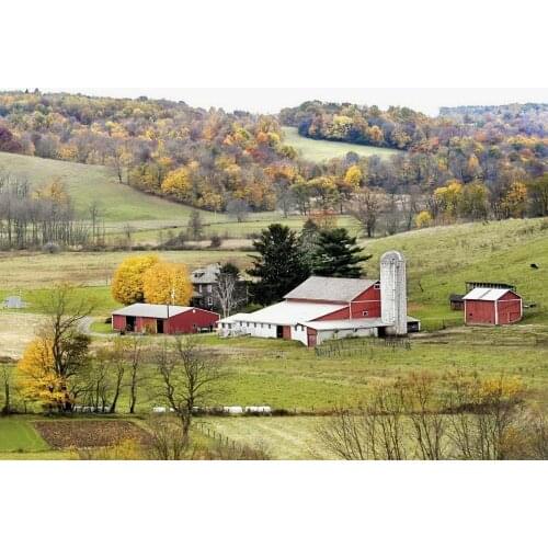 Cottage diamond painting scenery tree rhinestone embroidery landscape mosaic sticker decor diamond dots poster wall paper diy