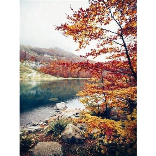 New Embroidery Counted Cross Stitch Kits Needlework - Crafts 14 ct DMC DIY Arts Handmade Decor - Forest 2