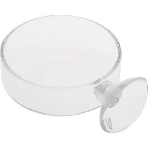 YYSD New Arrival Fish Tank Feeder Aquarium Shrimp Glass Feeding Bowl Clear Dish Tray