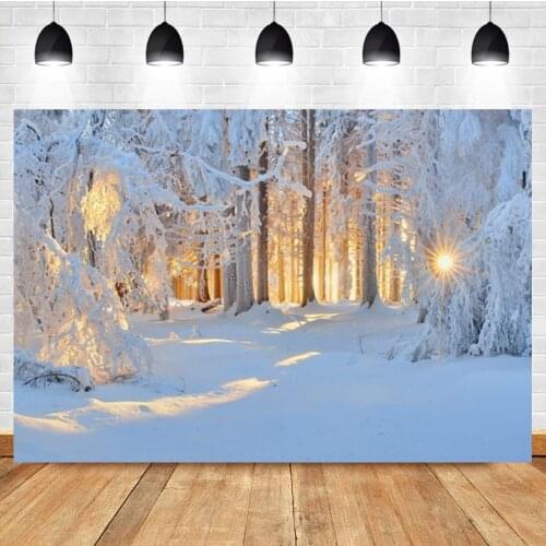 Winter White Snow Trees Forest Light Sunshine Interior Home Decro Photozone Photophone Photography Backdrops Photo Background