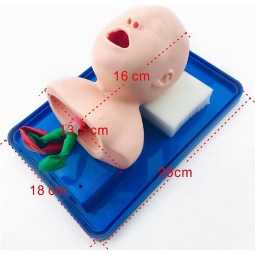 New born cardiopulmonary resuscitation simulated pseudo-human tracheal intubation model