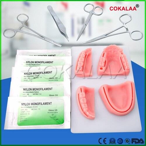High Quality Dental Simulation oral suture model with needle Gum suture teaching training equipment skill practice