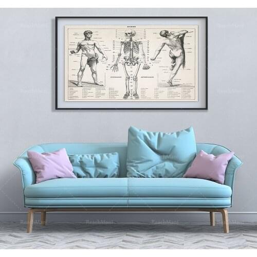 Body anatomy poster, anatomy print art, medical student gift, anatomy decoration, anatomy gift, medical student gift, medical po