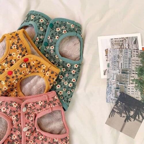 Pet cotton clothes autumn and winter clothes Teddy Bichon Hiromi VIP cat Schnauzer small puppies dogs cotton jacket clothes