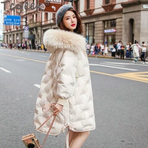 Womens Winter Down Jacket Hooded Coat Female Jacket Korean Woman Parkas Raccoon Dog Fur Collar 2020 Mujeres Abrigos Pph1319