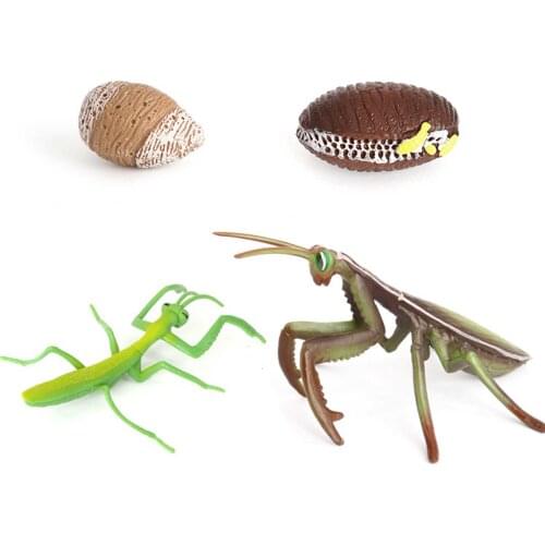 MezoJaoie Insect Figures