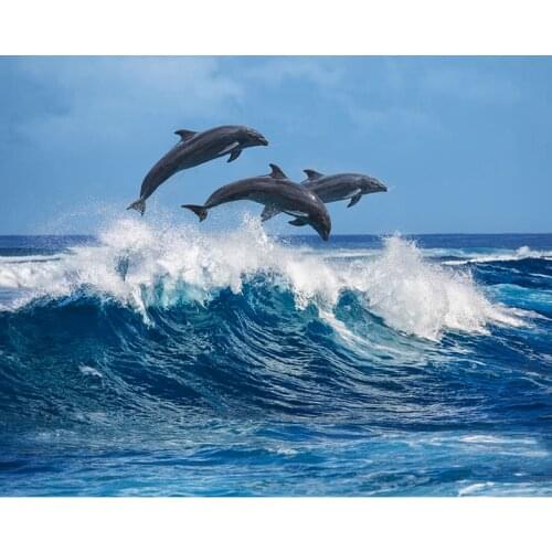 5D DIY Diamond Painting beautiful dolphin Full Square/Round Mosaic Diamond Embroidery Pictures Of Rhinestones Decoration TY914