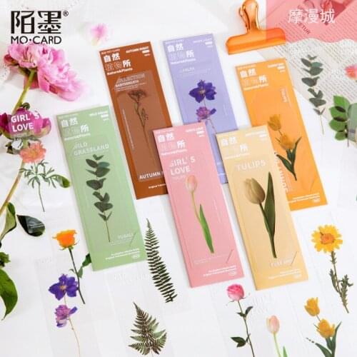 5 pcs/lot PET translucent bookmark Natural Plant Institute series literary ins dried flower hand account reading book holder