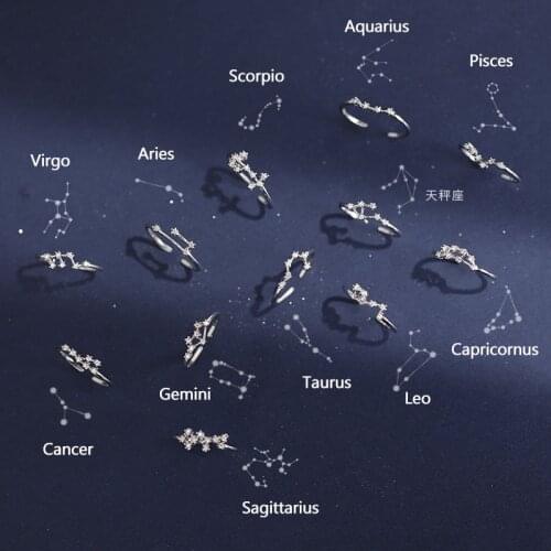 12 Female Constellation Rings Zircon Adjustable Zodiac Rings Silver Jewelry Gifts Personalized Open Food Ring Birthday Gifts