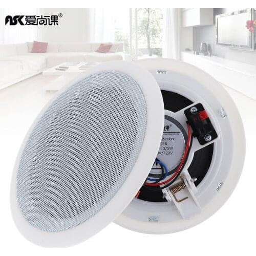 Digiyes Ceiling Speakers