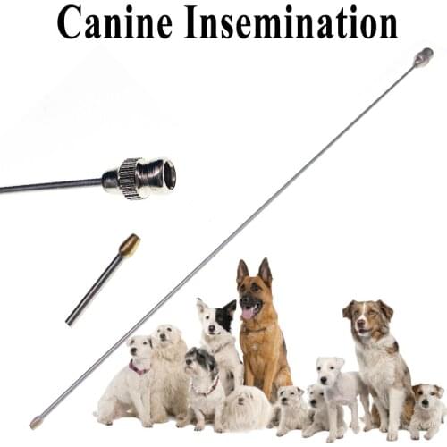 1PCS Dog Canine Artificial Insemination Needle Stainless Steel For Small Pet Dog Sheep Goat 23cm Semen Injection Fresh Sperm