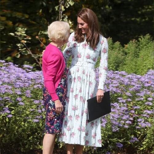 Kate Middleton Plus Size High Quality New Fashion Elegant Office Lady Workplace Long Sleeve Light Blue Printing Chiffon Dress