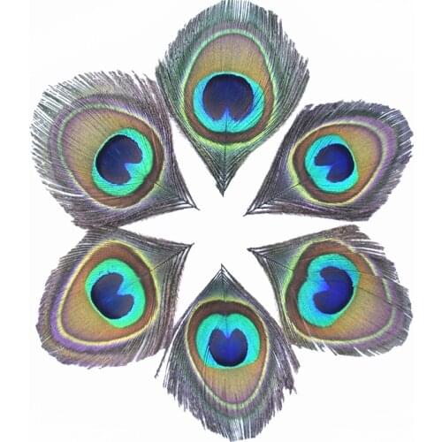 10Pcs Natural Rare Peacock Feathers Eye Feathers for Crafts Needlework Decoration Pheasant Feather Decor Jewelry Carnival Plume