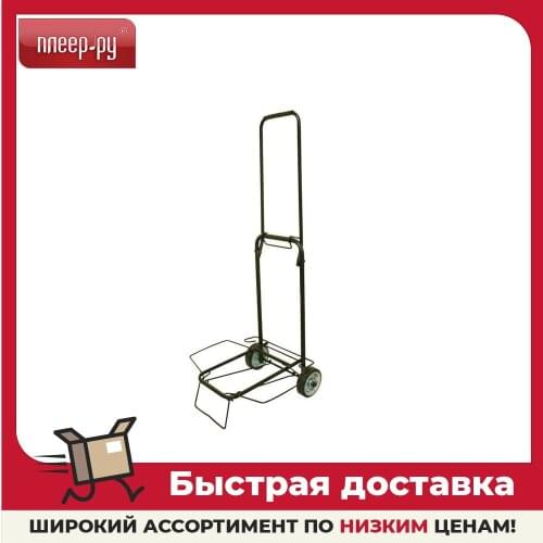 Рыжий кот Garden Carts