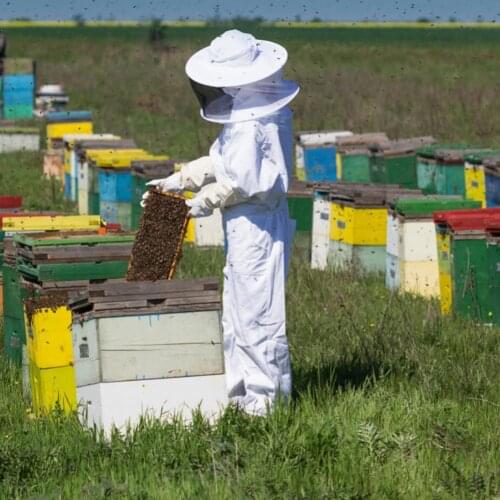Full Body Beekeeping Clothes Professional Beekeepers Clothes Bee Protection Beekeeping Suit Safty Mesh Hat Beekeeping Accessory