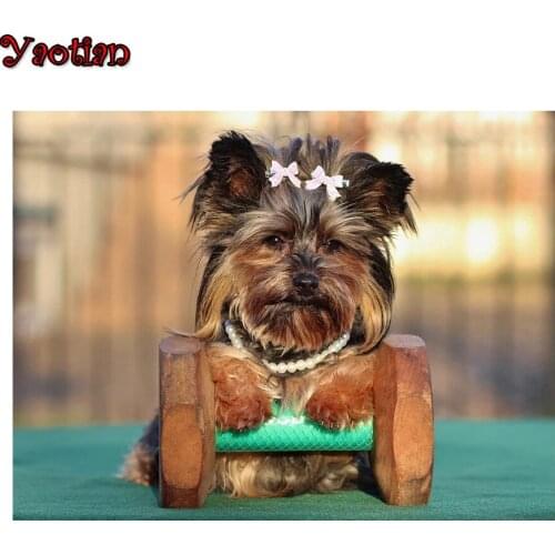 Full drill square Diamond Painting Yorkshire Terrier Dog Diamond embroidery 5d diy diamond mosaic diamond paint,kids room Decor