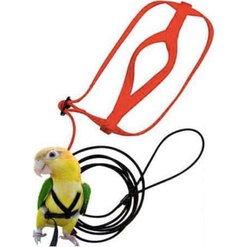 Anti-bite Flying Training Rope Parrot Bird Pet Leash Kits Ultralight Harness Leash Soft Portable Pet Playthings