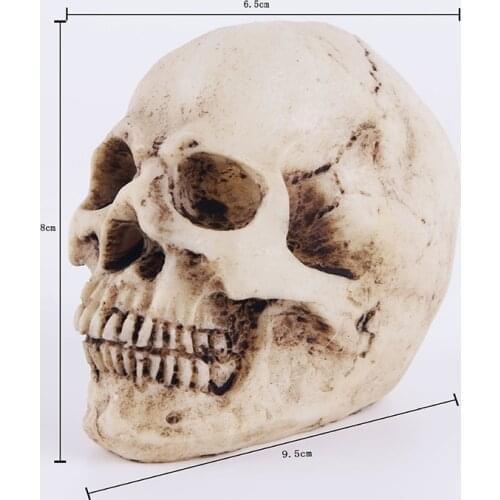 HeyMamba Resin Human Skull Skeleton Bones Statue Human Shaped Skeleton Head Model Halloween Decor Art Props