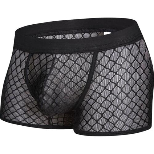 Transparent Mens Underwear Sexy Boxers Penis Erotic Mesh Mens Sissy Panties Pouch Underpants Man Gay Underwear Brand Quality