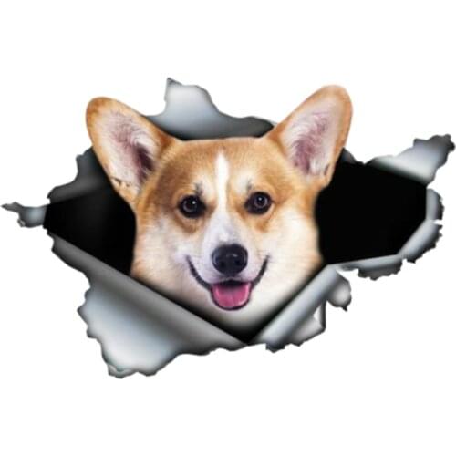 Cute pet personalized car stickers cross country diesel vehicle motorcycle accessories decoration refrigerator car fun Decal PVC