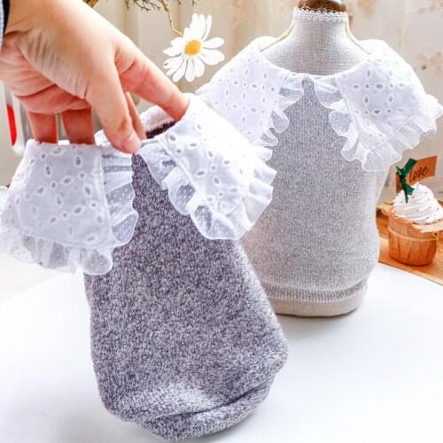 2021 Winter Warm Pet Dog Clothes Puppy Shirt Dog Princess Lace Lapel Retro Costume Jacket Coat For Small Medium Dogs Clothing