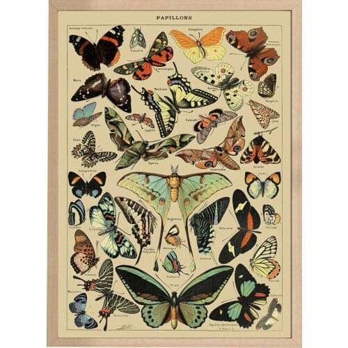 Vintage Butterfly Canvas Prints Retro Illustrated Poster Art Illustration Wall Art Posters Prints Painting Adolphe Millot