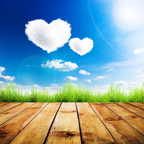 VinylBDS Newborn Backdrops Photography Backgrounds For Photo Studio Baby Photo Backdrops For Photography Custom Made 2016