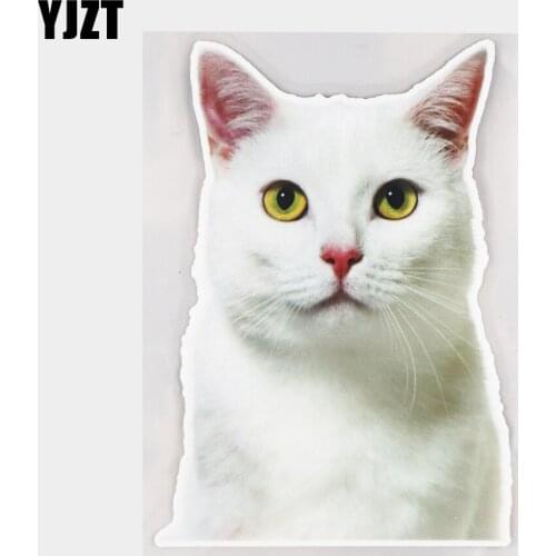 YJZT 12×17CM Beautiful White Cat Animal Car Stickers Personality Auto Body Decoration Accessories 21A-0056