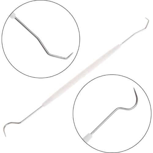 Ant Equipment Cleaner Remover Cleaning Hook Double Head Tools Test Tube Stainless Steel Nest Clean Insect Supplies