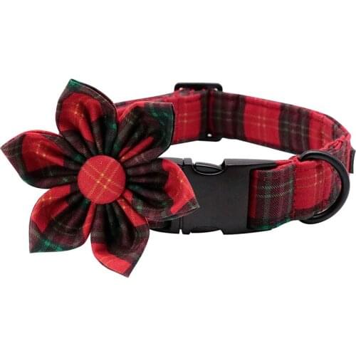 Unique style paws Products For Dogs