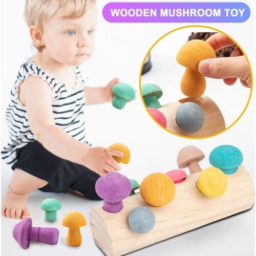 Montessori Toys for 1 2 3 Year Old Mushroom Harvest Shape Sorting Matching Puzzle Toy Wooden Educational Toy for toddler child