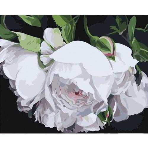 Painting By Numbers Flowers Acrylic Paint For Adults DIY Craft Kits Handmade Oil Picture Drawing Coloring By Numbers Decoration