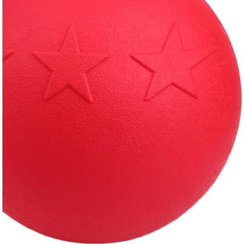 Large Equine , Anti-Burst Horse Pony Dogs Soccer Ball Play Toy with Fruit Scented - 25cm Diameter, Random Color