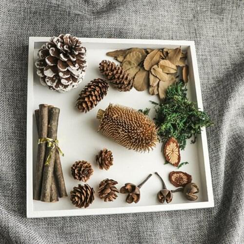 Durable 14Pcs/Set Excellent Larch Background Accessories Kit Photo Prop Crafts Lightweight for Dorm