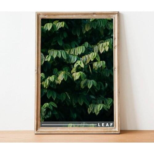 Leaf Print Nature Green Plant Photography Poster Botanical Leaves Art Canvas Painting Wall Picture for Living Room Home Decor