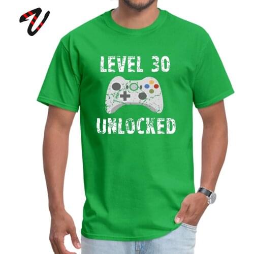 Level 30 Unlocked Gamer Tshirt O Neck T Shirt Summer Tops Shirts Plaid New Coming Soviet Europe T-shirts Cool Men Streetwear