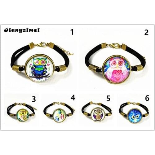 24pc (6 styles)Cartoon Blue, rose Owl hand chain Glass Ancient Bronze Charm bracelets for girls women