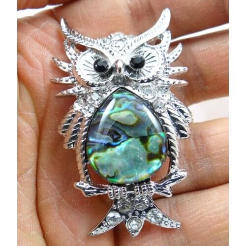 57*36MM Beautiful Abalone Shell carved the of owl PENDANT necklace D46
