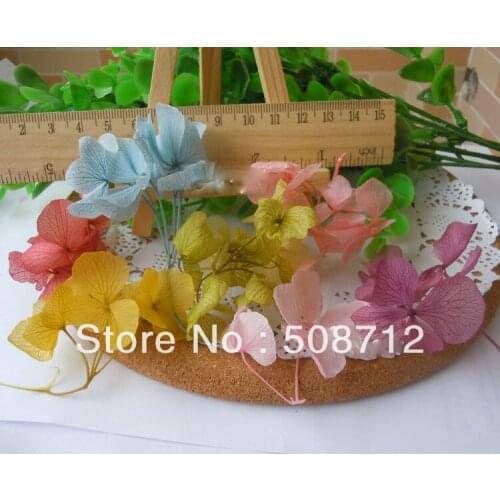 Free shippin!!! 100pcs/lot Mixed Color super tiny dried clover flowers Mix Miniature for glass rice writing bottle