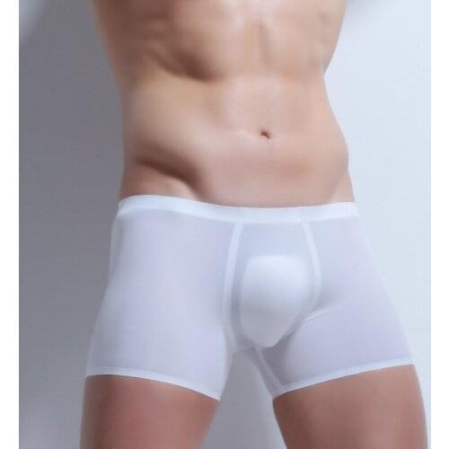 Men Ice Silk Boxer Sexy Men Transparent Underwear Low waist Slip Homme 3XL Cuecas Boxers See Through Mens Underwear Boxers Brand