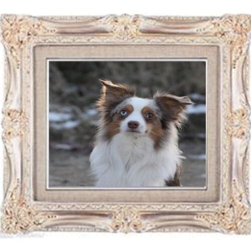 Diamond Embroidery Diy Diamond Painting Cross Stitch Kits Diamond Mosaic Dog Full Square Diamond Embroidery AD180