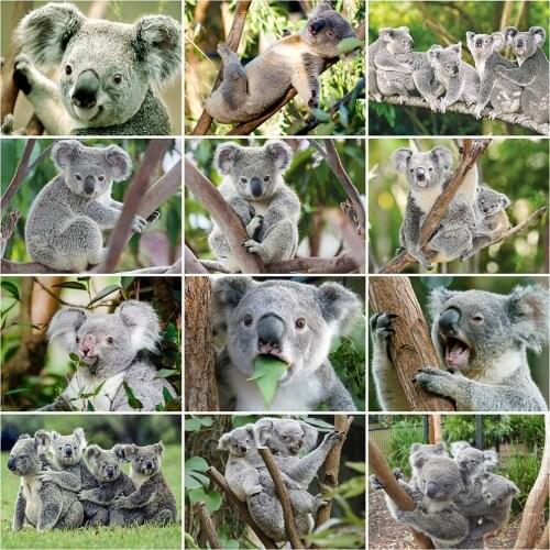 MomoArt Diamond Embroidery Koala Animal Cross Stitch Kits Diamond Painting Picture Of Rhinestone Mosaic DIY Decor For Home