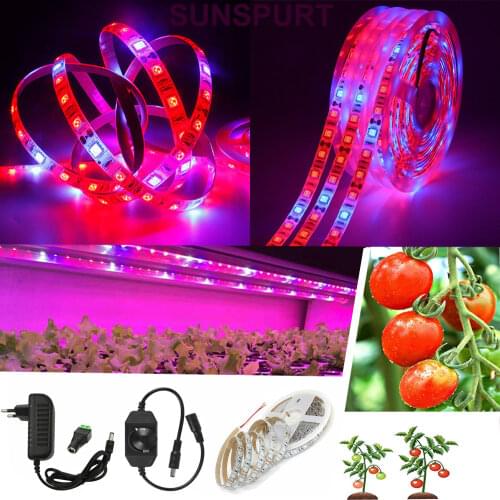 SUNSPURT LED Plant Lamps