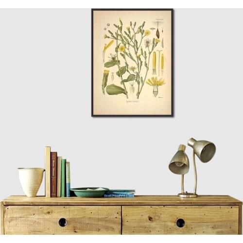 Botanical Flowers Canvas Painting Abstract Wall Art Biology Plants Picture Posters Print for Living Room Corridor Decoration