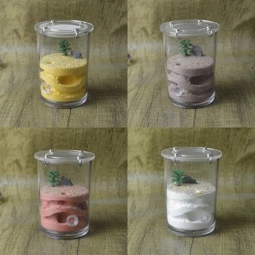 Cute Ant Cup Nest Acrylic Cover Plaster Cup Ant Nest Pet Ant Farm is Plaster Landscaping Nest Insect Terrarium